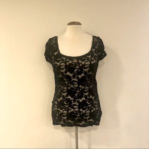 EUC Lace Short Sleeve Scoop Next Top!